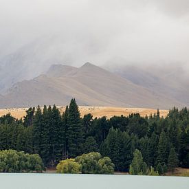De kust van het Tekapo meer, Nieuw Zeeland van Armin Palavra