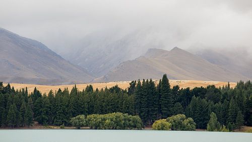Lake Tekapo shore, New Zealand by Armin Palavra