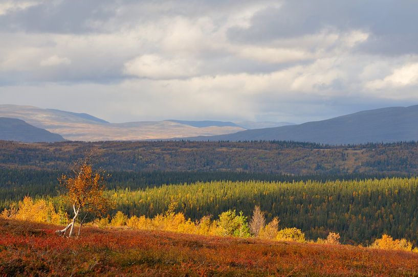 Zweden in de herfst in Jämtland van Karin Jähne