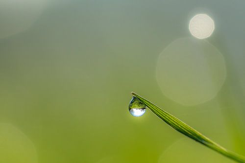 een eenzame druppel