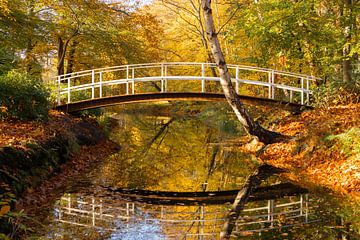 Monet in de herfst, brug en herfst kleuren Zeist! van Peter Haastrecht, van