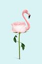Flamingo-bloem van Jonas Loose thumbnail