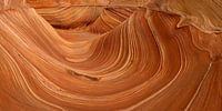 Die 'Welle' in Nord-Arizona