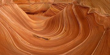 De 'Wave' in Noord-Arizona van Jan Roeleveld