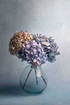 Modern stilleven met hortensia bloemen