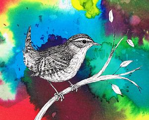 Wren with colour explosion by Bianca Wisseloo