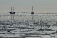 Wad wandelen