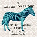 Heldere safari zebra op taupe, Sue Schlabach van Wild Apple thumbnail