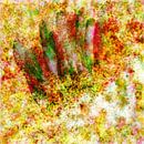Pilgrimage - abstract art, yellow, white, red by Nelson Guerreiro thumbnail