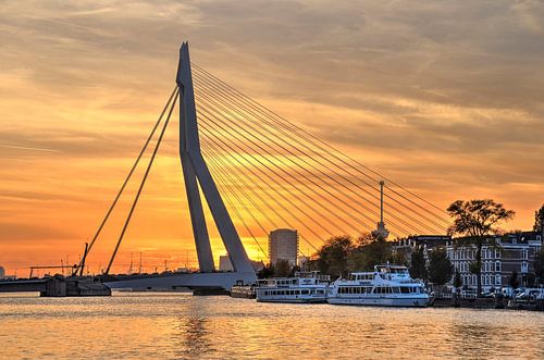 Erasmusbrug, zonsondergang