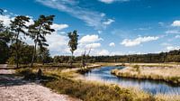 Schöne Landschaft, Hatertse und Overasseltse Vennen