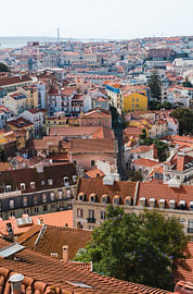 Overlooking the Historic Terracotta Rooftops of Lisbon von Tom Tewes