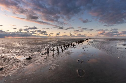 Land reclamation piles on the Wad near Wierum