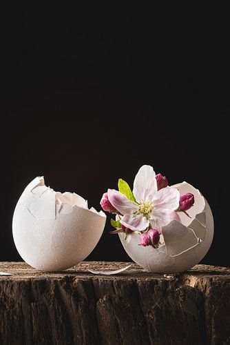 œuf de printemps