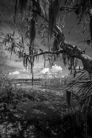 Leesburg in zwart wit von Martin van der Sanden