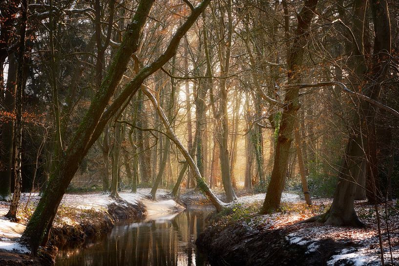 Winter Creek von Kees van Dongen