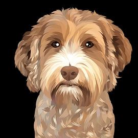 cream curly dog by mshel tyan