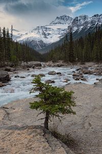 Yoho National Park, Canada van Colin Bax