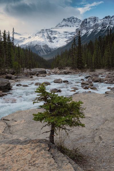 Parc national de Yoho, Canada par Colin Bax