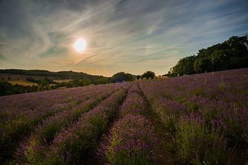 De kleine Provence van Thomas Junklewitz