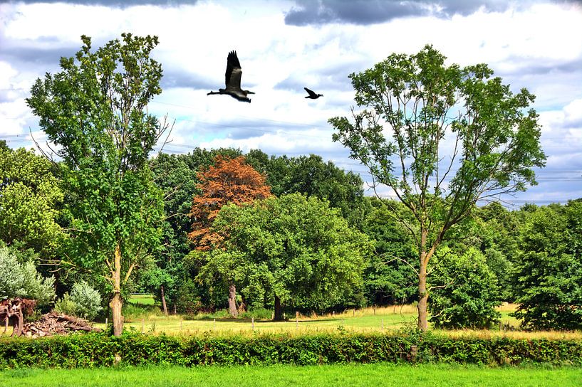 Arbres 4 par Edgar Schermaul