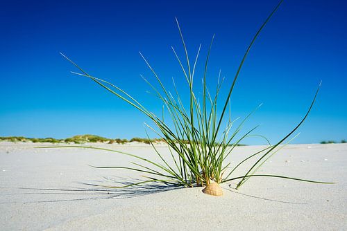 Op het strand