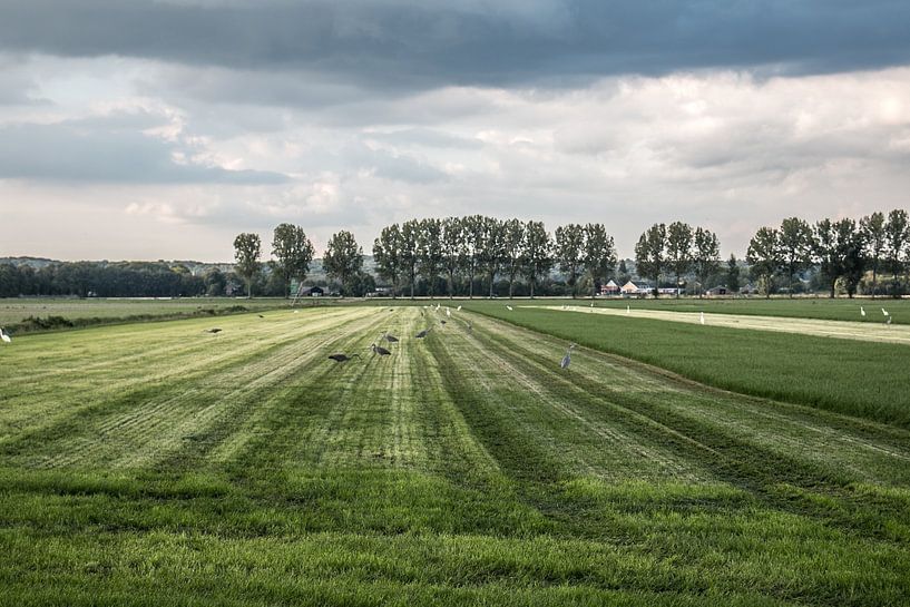 Crowded country in Duiven by Karlo Bolder