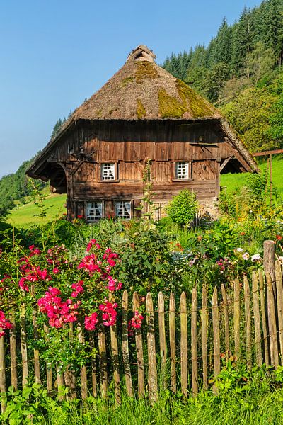 Molen met boerentuin in het Zwarte Woud van Markus Lange