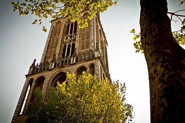 Domtoren Utrecht sur David Klumperman