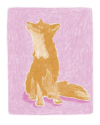 Pandc Littlefox Copy