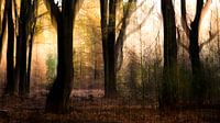 Herfstlandschap