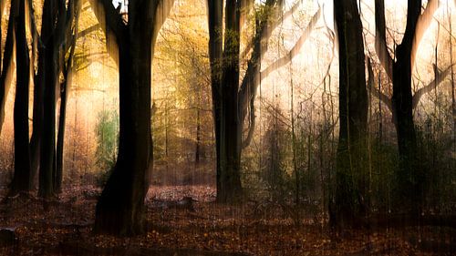 Herfstlandschap