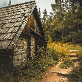 Štrbské Pleso [Hoge Tatra] van rosstek ®
