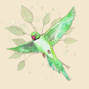 Flying rose-ringed parakeet by Bianca Wisseloo