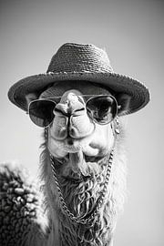 Black And White Portrait Of A Camel With Hat And Glasses by Poster Art Shop