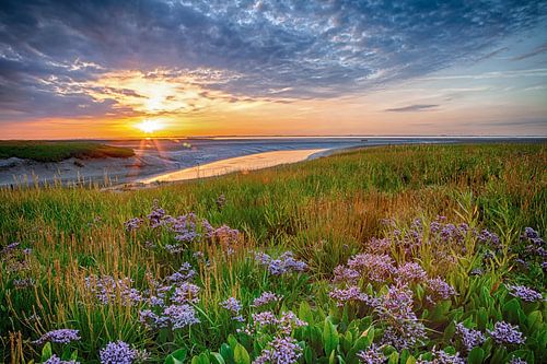 Station de pompage de Campen