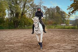 white horse and rider training on a riding arena