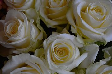 Witte rozen boeket van Ima Rhebok