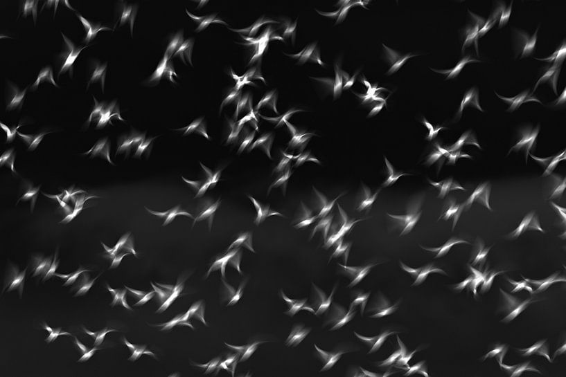 Stare von Anne Ponsen