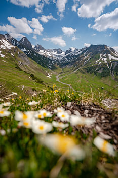Blumige Aussicht auf die Lechtaler Alpen und den Valluga