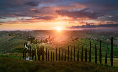 Coucher de soleil sur une route sinueuse en Toscane sur Roy Poots
