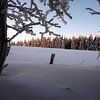Winterlandschaft nach Sonnenuntergang in der Rhön von Martin Flechsig
