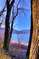 Berggeweld aan de Tegernsee