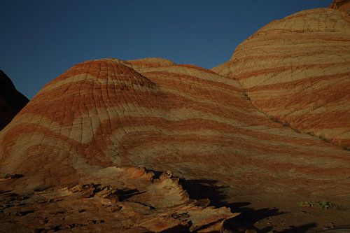 Yant Flat - Candy Cliffs - Cottonwood Forest Wilderness Utah USA
