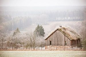 boshuisje sur Jonas Demeulemeester