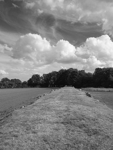 Langdolmen Lindeskov, Ørbæk, Denmark