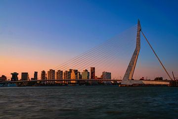 Erasmusbrug Rotterdam van Pieter van Dijk