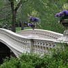 Ikone des Central Parks - Die Bow Bridge von Christiane Schulze