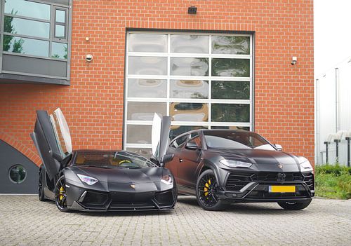 Blacked Out Lamborghini Aventador & Urus