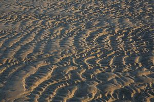 Lignes dans le sable